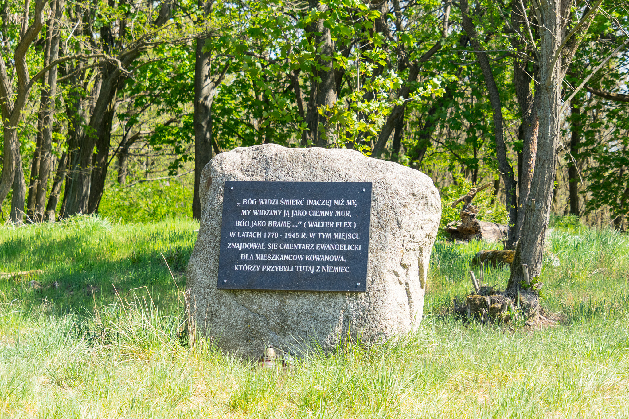 Stary cmentarz ewangelicki. Oborniki