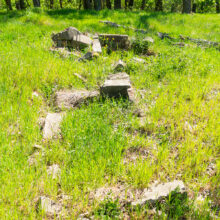 Stary cmentarz ewangelicki. Oborniki