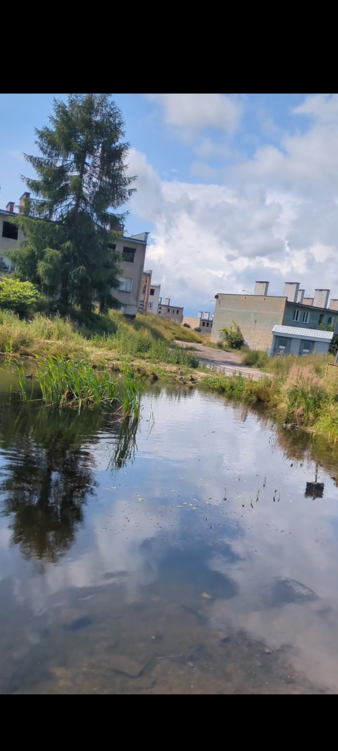 Osiedle Wysiedleńców im. Romana Szełemeja Wałbrzych