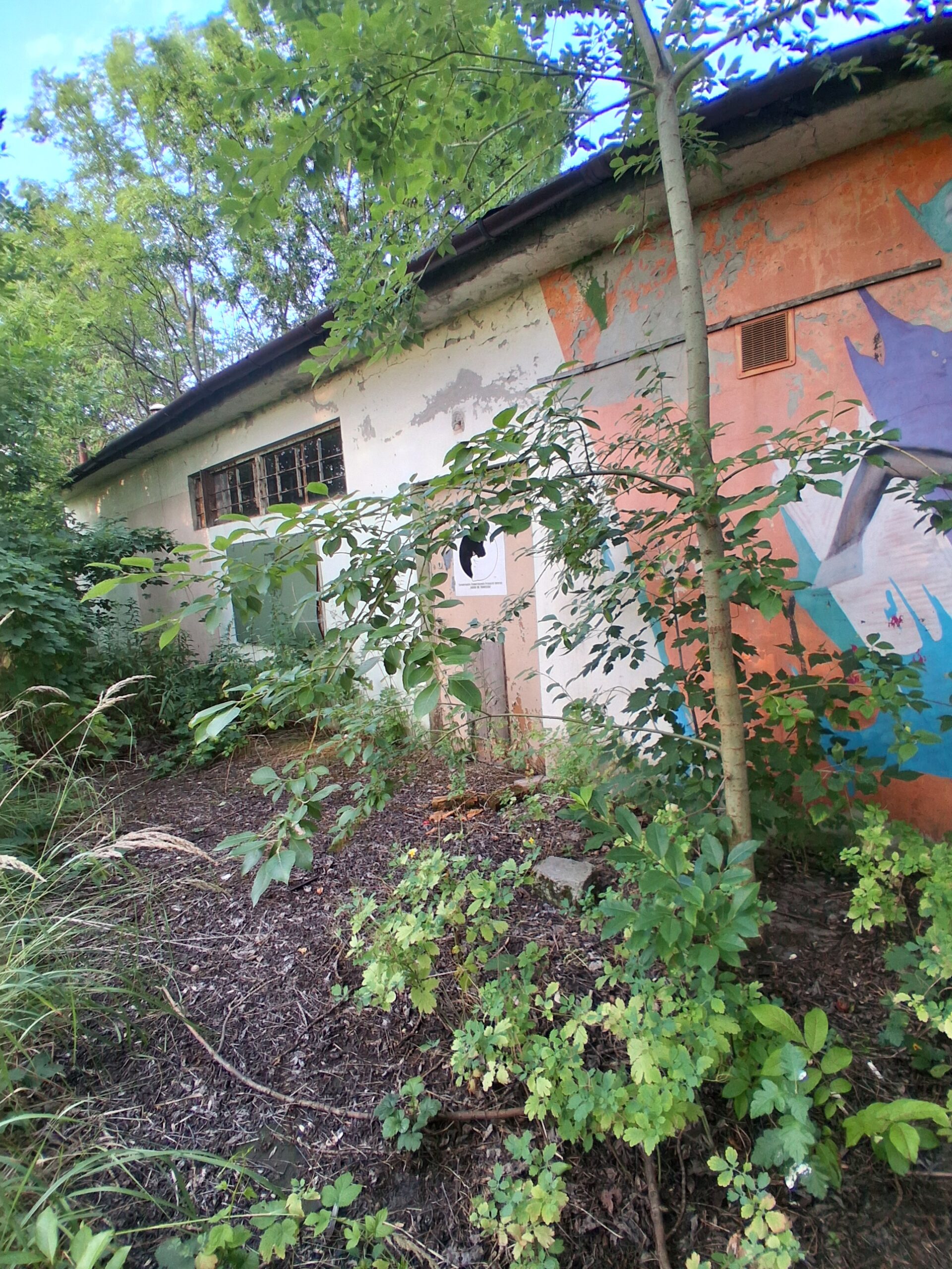 Opuszczone schronisko, Tarnobrzeg, województwo podkarpackie